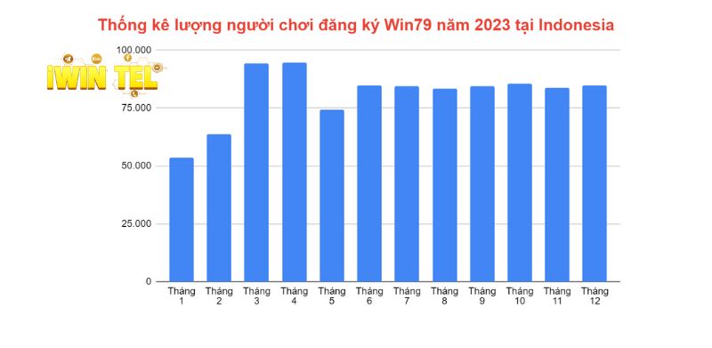 Thống kê số lượng người chơi đăng Win79 tại Indonesia năm 2023